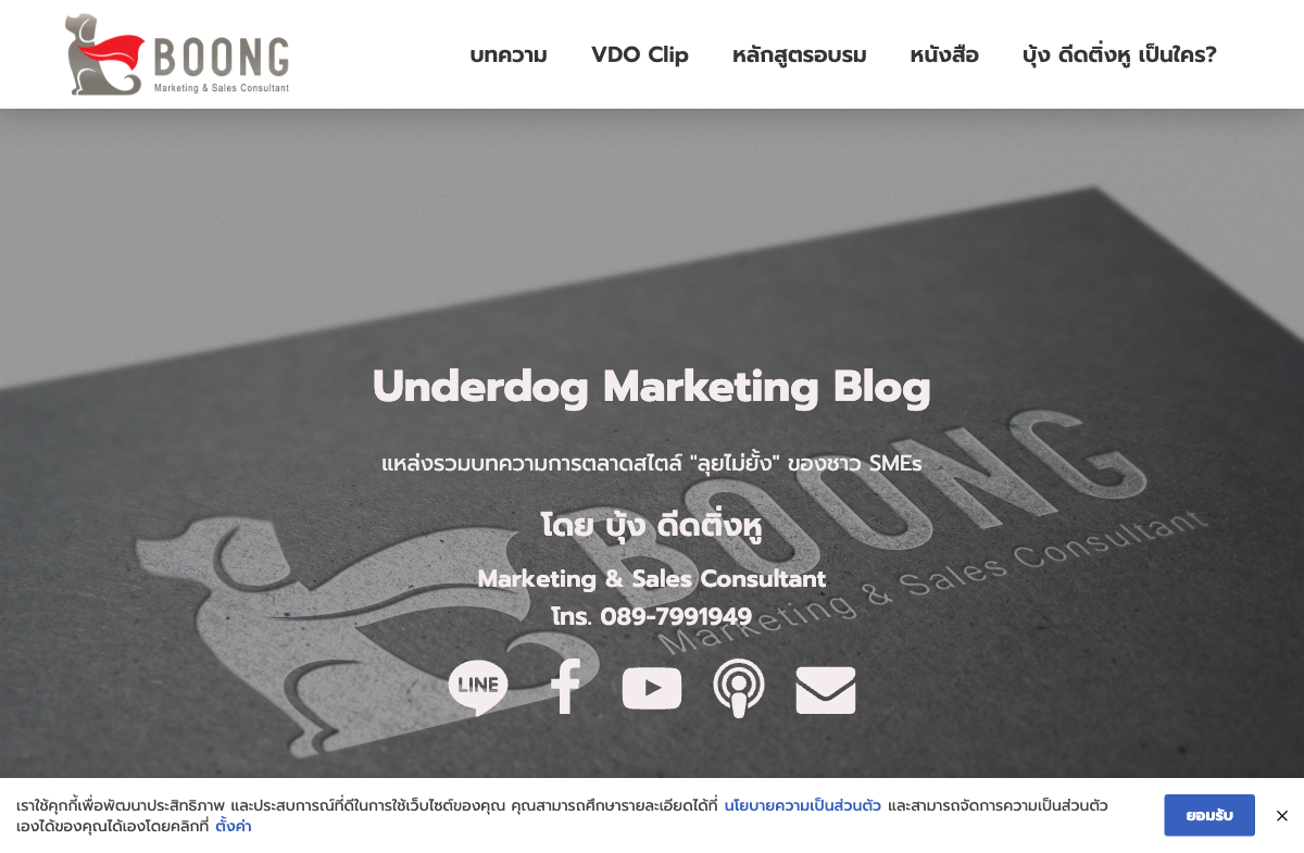 Underdog Marketing website screenshot
